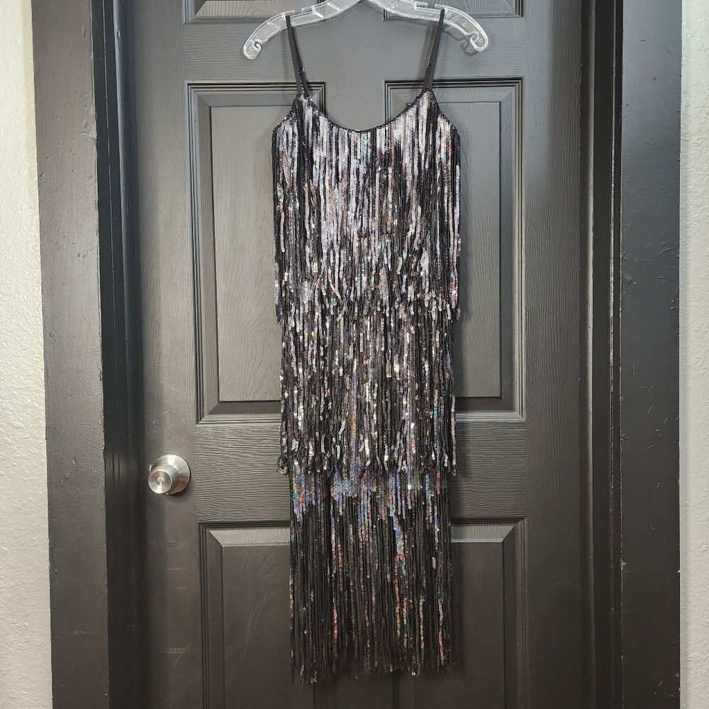 Dress the Population Sz. XS NWR Roxy Tiered Fringe Sequin Dress Holiday Party - Picture 5 of 16